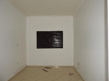 Alugar Casas / Residencial em Santa Cruz do Rio Pardo apenas R$ 900,00 - Foto 6 Alugar Casas / Residencial em Santa Cruz do Rio Pardo apenas R$ 900,00 - Foto 6
