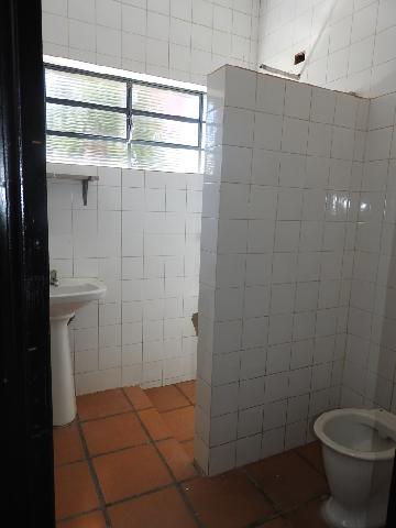 Alugar Comerciais / Comercial em Santa Cruz do Rio Pardo apenas R$ 1.300,00 - Foto 4 Alugar Comerciais / Comercial em Santa Cruz do Rio Pardo apenas R$ 1.300,00 - Foto 4