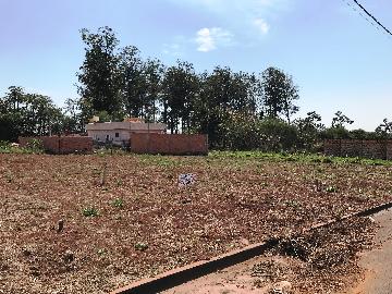 Comprar Terrenos / Lote em Santa Cruz do Rio Pardo R$ 42.000,00 - Foto 3
