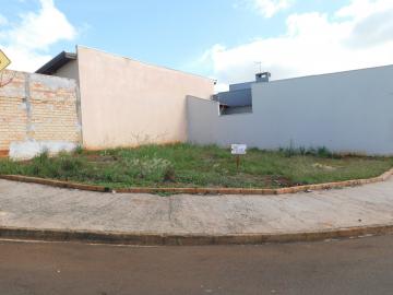 Alugar Terrenos / Lote em Santa Cruz do Rio Pardo. apenas R$ 65.000,00