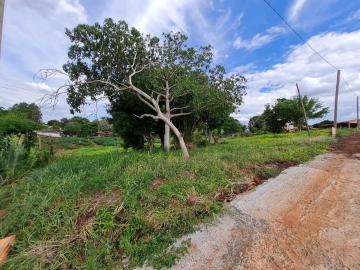 Comprar Terrenos / Lote em Santa Cruz do Rio Pardo R$ 250.000,00 - Foto 6