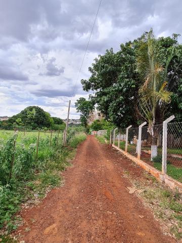 Comprar Terrenos / Lote em Santa Cruz do Rio Pardo R$ 250.000,00 - Foto 13