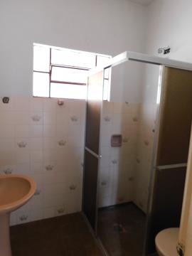 Alugar Residenciais / Casas em Santa Cruz do Rio Pardo R$ 800,00 - Foto 11