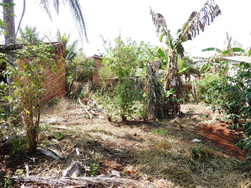 Comprar Terrenos / Lote em Santa Cruz do Rio Pardo R$ 80.000,00 - Foto 3