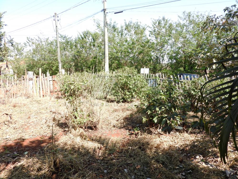 Comprar Terrenos / Lote em Santa Cruz do Rio Pardo R$ 80.000,00 - Foto 5