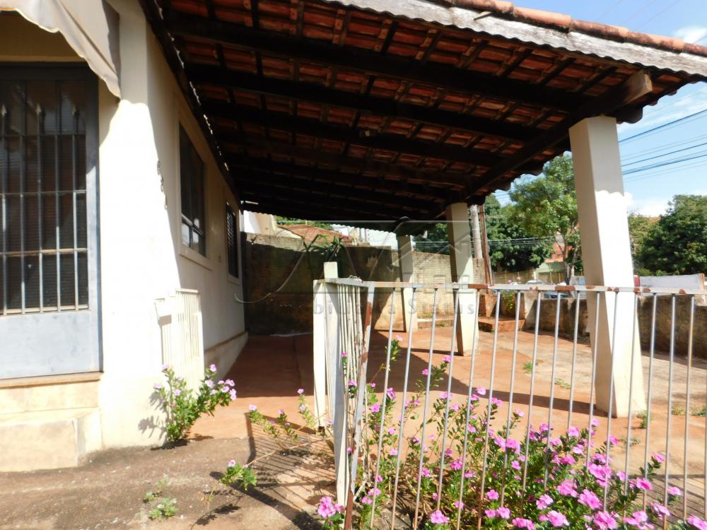 Alugar Residenciais / Casas em Santa Cruz do Rio Pardo R$ 800,00 - Foto 5