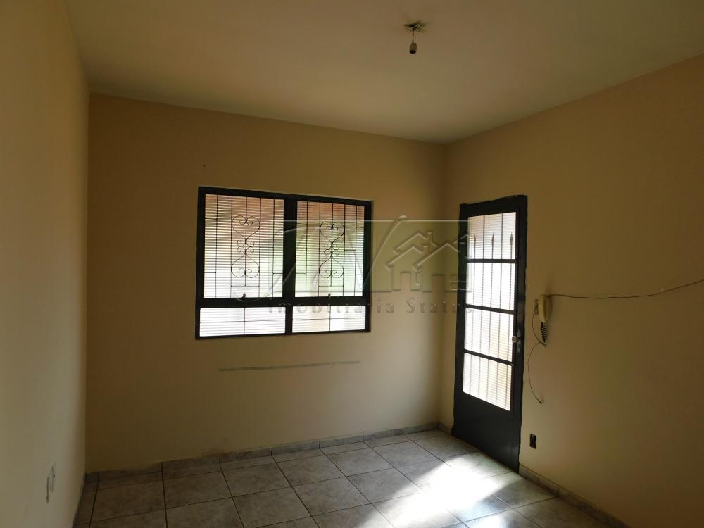 Alugar Residenciais / Casas em Santa Cruz do Rio Pardo R$ 800,00 - Foto 10