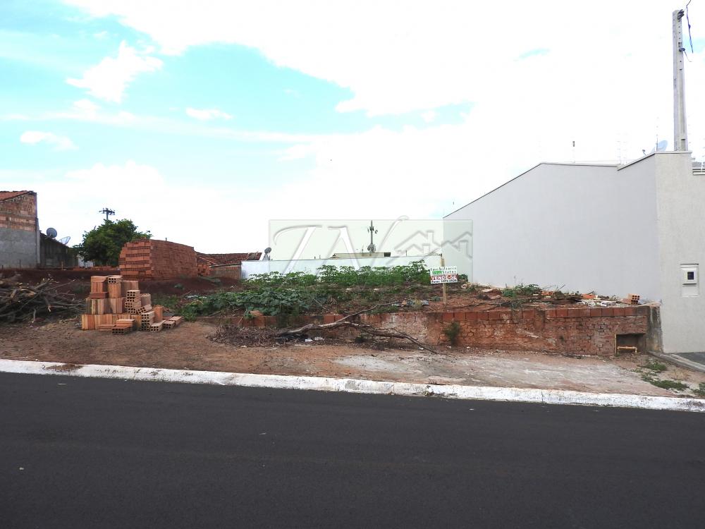 Comprar Terrenos / Lote em Santa Cruz do Rio Pardo R$ 115.000,00 - Foto 1