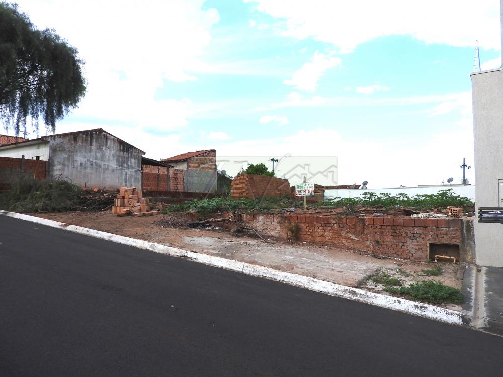 Comprar Terrenos / Lote em Santa Cruz do Rio Pardo R$ 115.000,00 - Foto 2