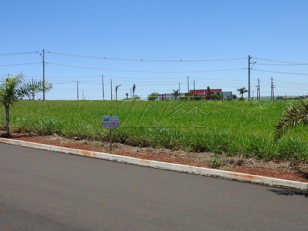 Comprar Terrenos / Lote em Santa Cruz do Rio Pardo R$ 125.000,00 - Foto 3