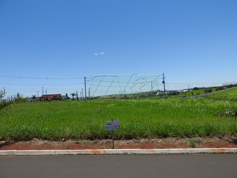 Comprar Terrenos / Lote em Santa Cruz do Rio Pardo R$ 125.000,00 - Foto 4