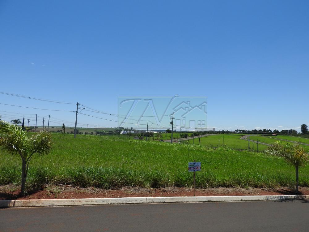 Comprar Terrenos / Lote em Santa Cruz do Rio Pardo R$ 125.000,00 - Foto 1