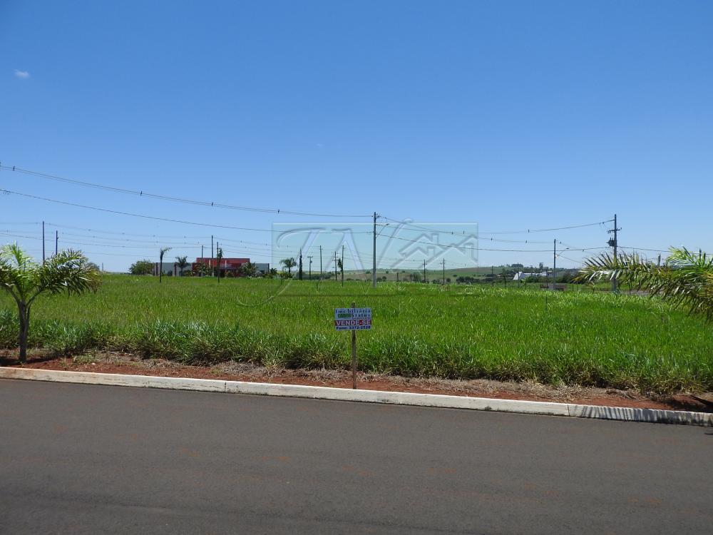 Comprar Terrenos / Lote em Santa Cruz do Rio Pardo R$ 125.000,00 - Foto 2