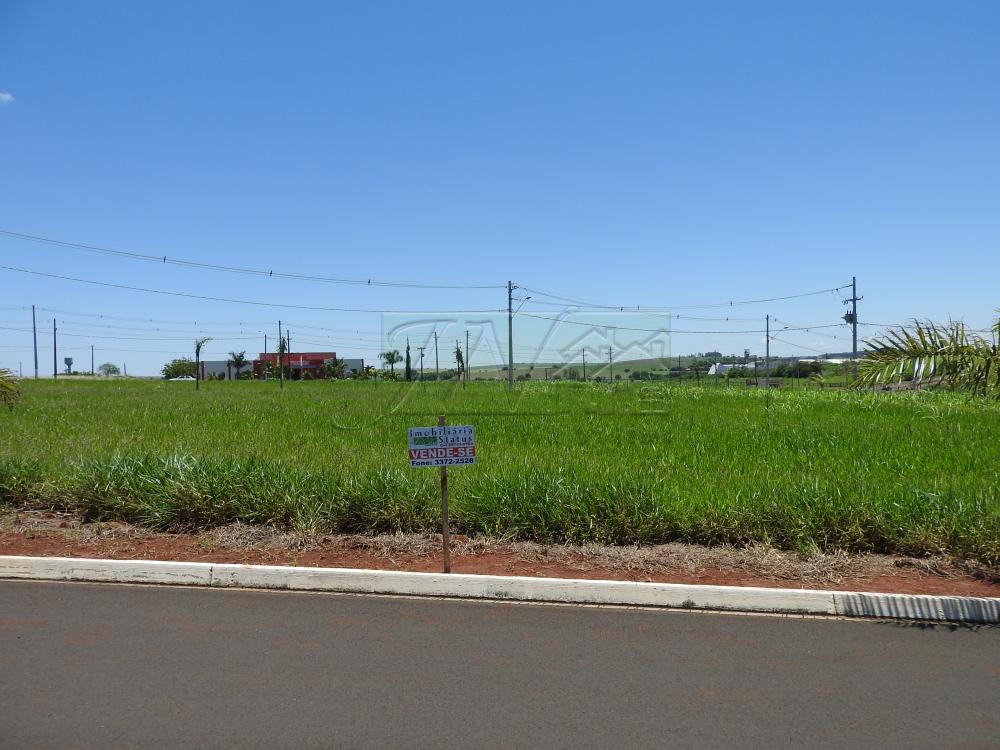 Comprar Terrenos / Lote em Santa Cruz do Rio Pardo R$ 125.000,00 - Foto 3