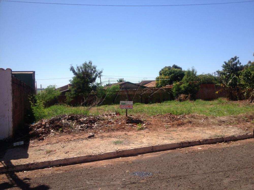 Comprar Terrenos / Lote em Ourinhos R$ 100.000,00 - Foto 1