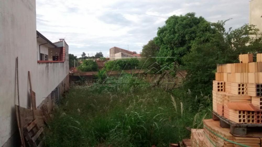 Comprar Terrenos / Lote em Santa Cruz do Rio Pardo R$ 230.000,00 - Foto 2