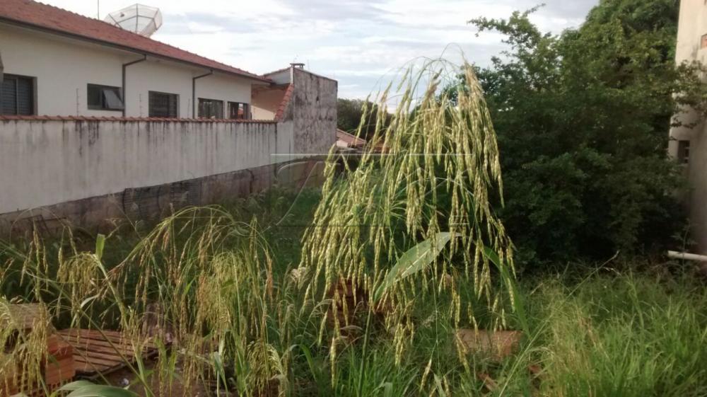 Comprar Terrenos / Lote em Santa Cruz do Rio Pardo R$ 230.000,00 - Foto 4