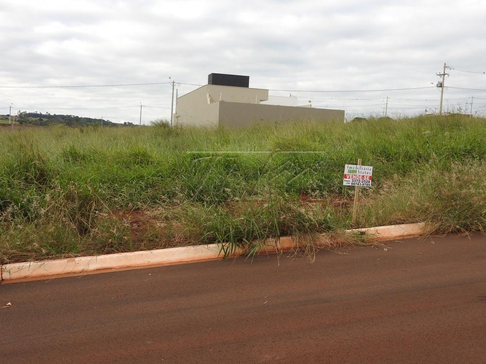 Comprar Terrenos / Lote em Santa Cruz do Rio Pardo - Foto 2
