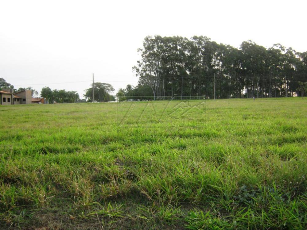 Comprar Terrenos / Lote em Águas de Santa Bárbara R$ 70.000,00 - Foto 1