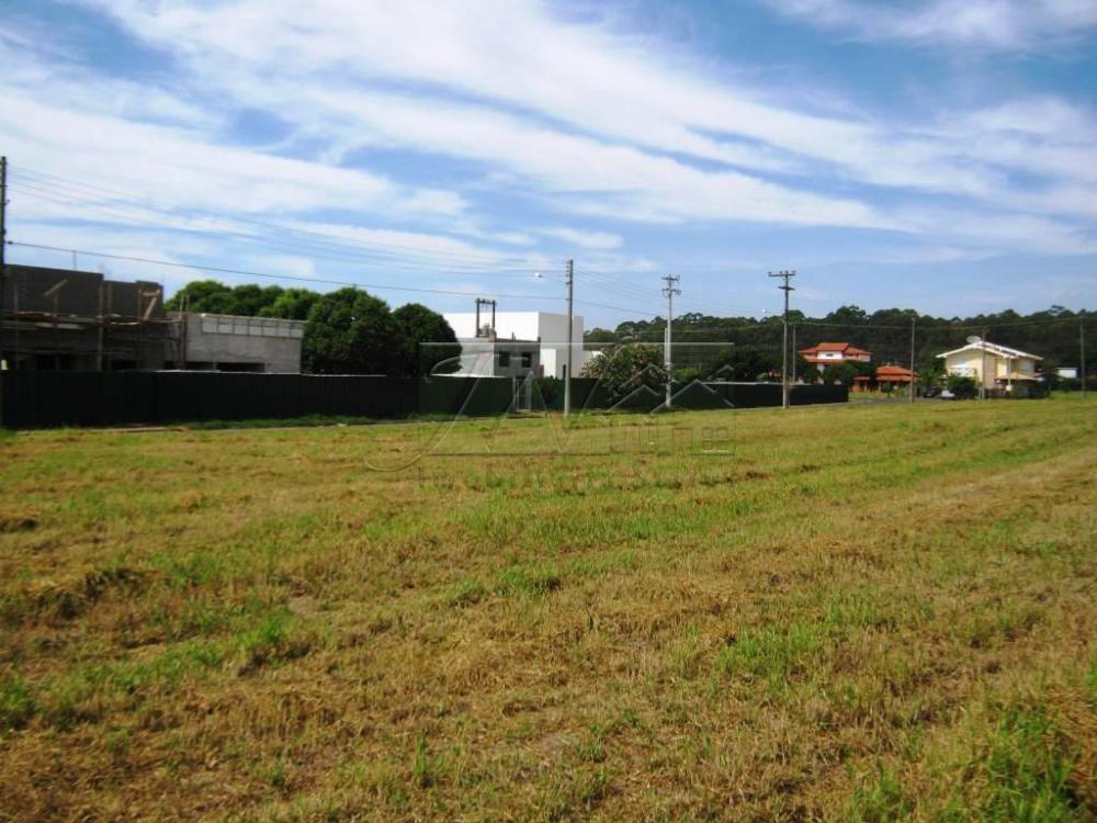 Comprar Terrenos / Lote em Águas de Santa Bárbara R$ 70.000,00 - Foto 2