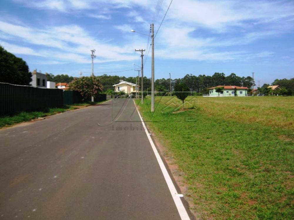 Comprar Terrenos / Lote em Águas de Santa Bárbara R$ 70.000,00 - Foto 3