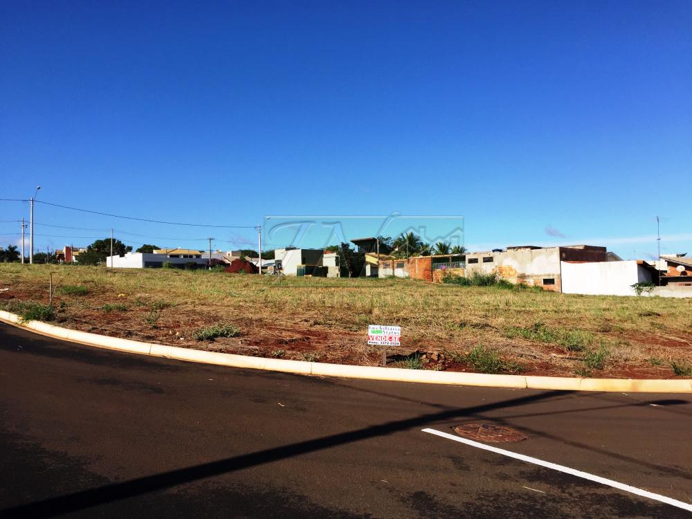 Comprar Terrenos / Lote em Santa Cruz do Rio Pardo R$ 130.000,00 - Foto 1