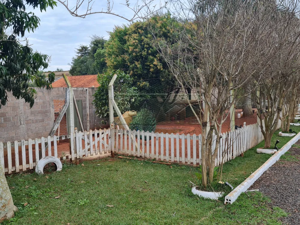 Alugar Rurais / Chácara em Santa Cruz do Rio Pardo R$ 4.200,00 - Foto 4