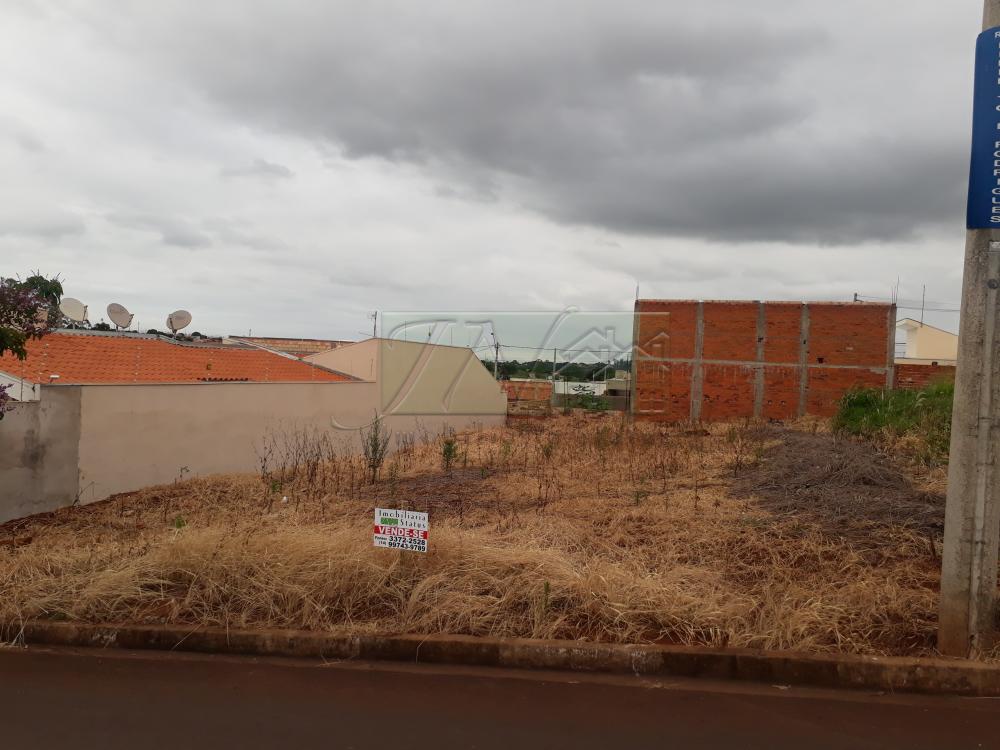 Comprar Terrenos / Lote em Santa Cruz do Rio Pardo R$ 120.000,00 - Foto 3