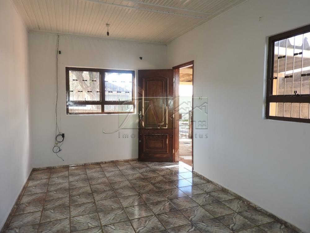 Alugar Residenciais / Casas em Santa Cruz do Rio Pardo R$ 700,00 - Foto 5