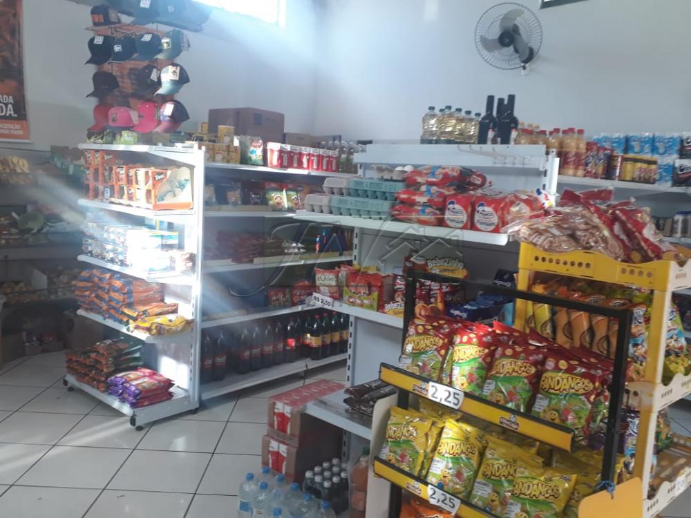 Comprar Comerciais / Galpão em Santa Cruz do Rio Pardo - Foto 8