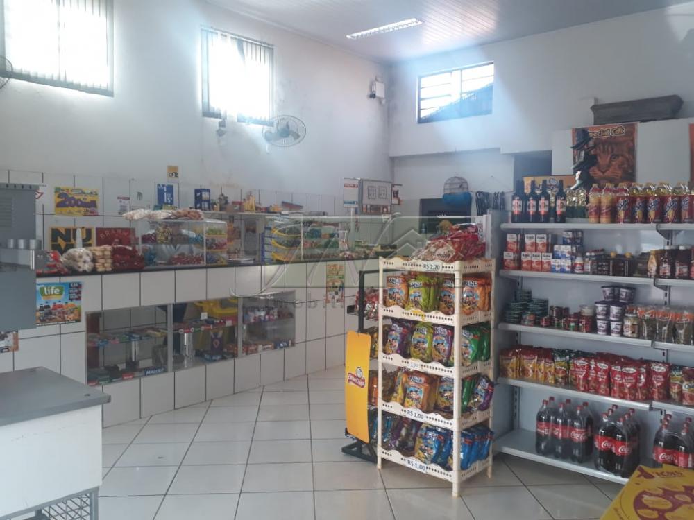 Comprar Comerciais / Galpão em Santa Cruz do Rio Pardo - Foto 6