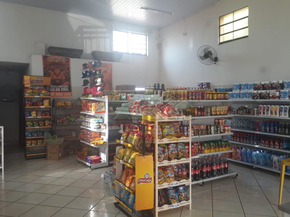 Comprar Comerciais / Galpão em Santa Cruz do Rio Pardo - Foto 4