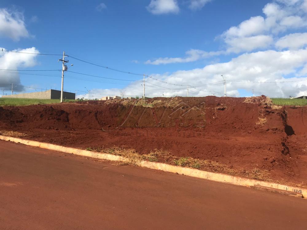 Comprar Terrenos / Lote em Santa Cruz do Rio Pardo R$ 145.000,00 - Foto 3