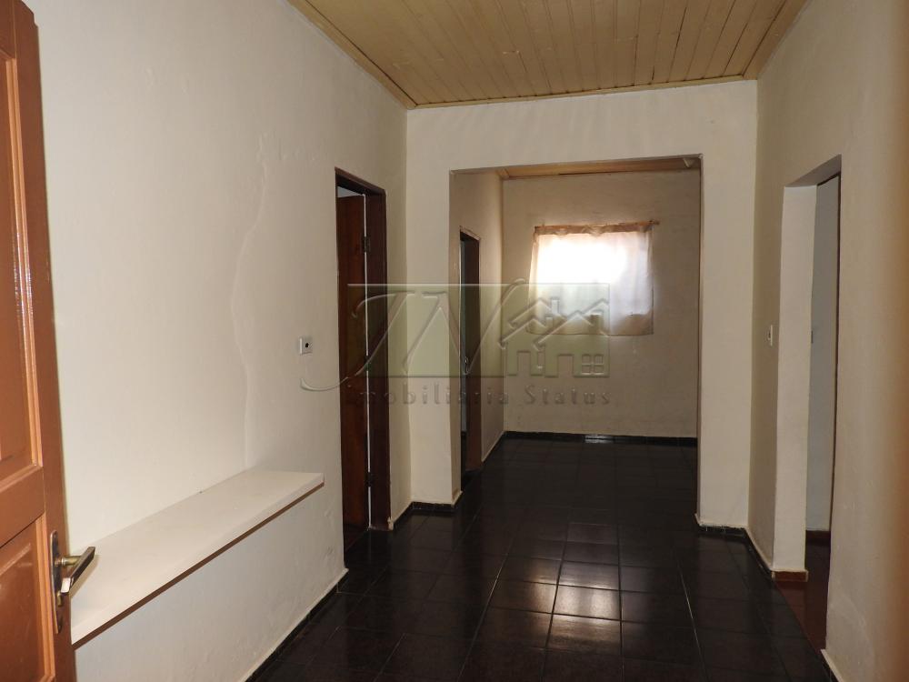 Alugar Residenciais / Casas em Santa Cruz do Rio Pardo R$ 850,00 - Foto 4