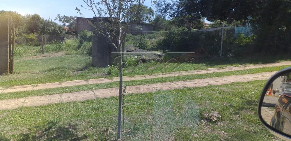 Comprar Rurais / Chácara em Piraju R$ 320.000,00 - Foto 3