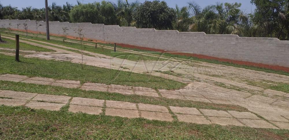 Comprar Rurais / Chácara em Piraju R$ 320.000,00 - Foto 4