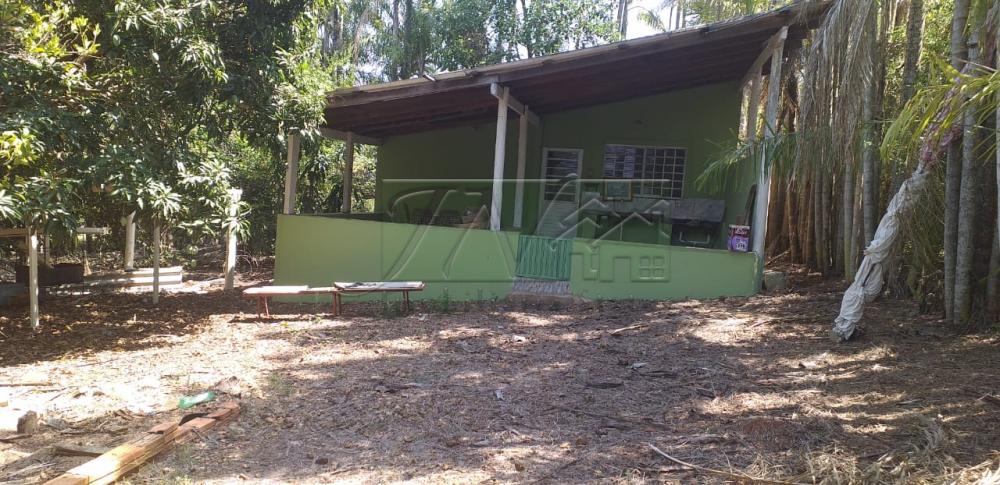 Comprar Rurais / Chácara em Piraju R$ 320.000,00 - Foto 10