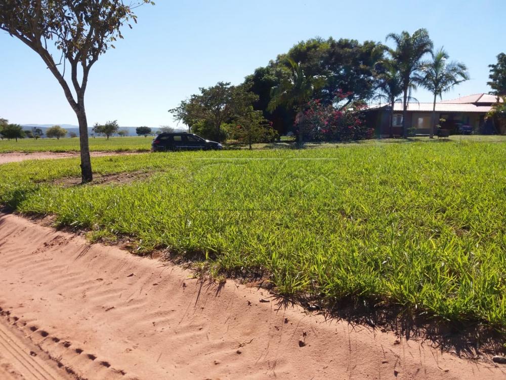 Comprar Terrenos / Lote em Paranapanema R$ 45.000,00 - Foto 2