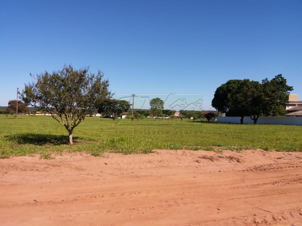 Comprar Terrenos / Lote em Paranapanema R$ 45.000,00 - Foto 17