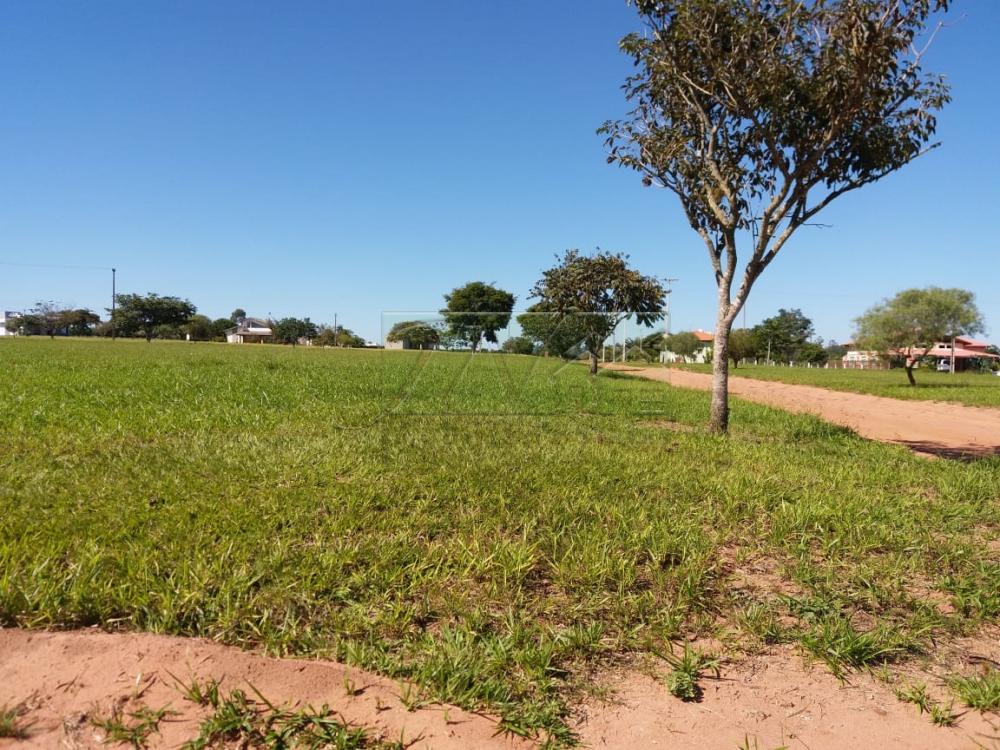 Comprar Terrenos / Lote em Paranapanema R$ 45.000,00 - Foto 18