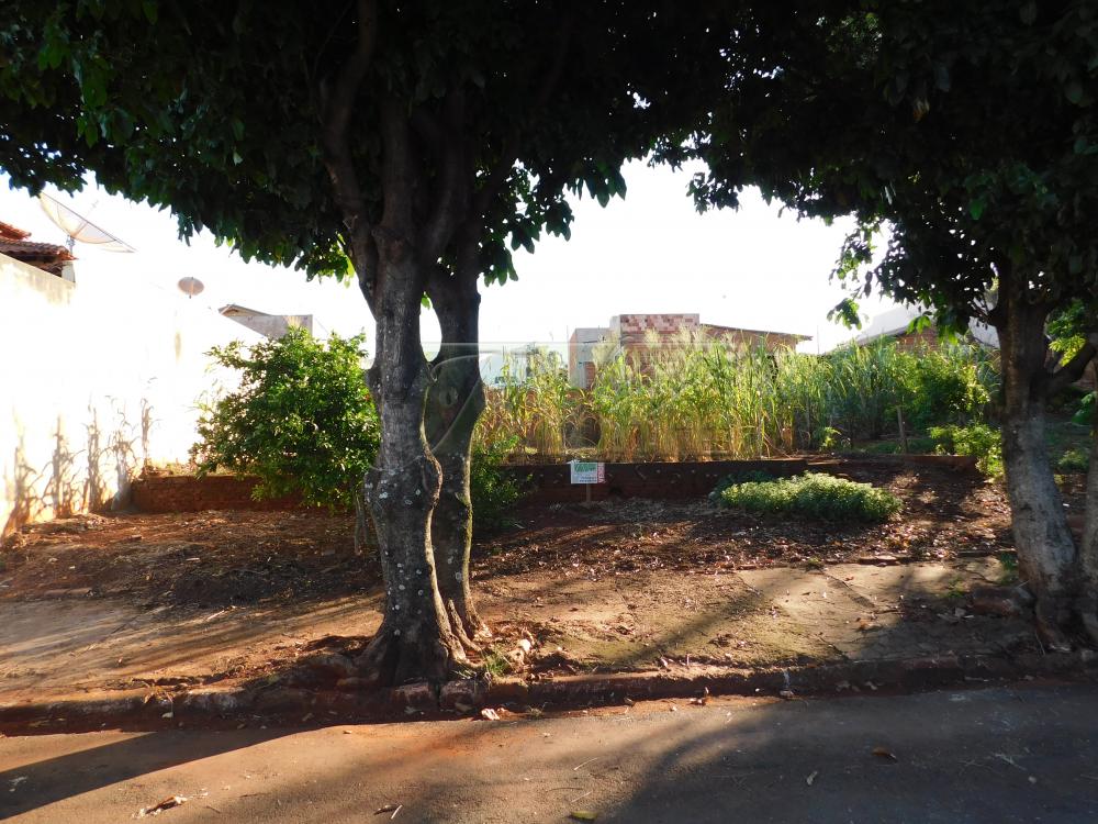 Comprar Terrenos / Lote em Santa Cruz do Rio Pardo R$ 100.000,00 - Foto 4