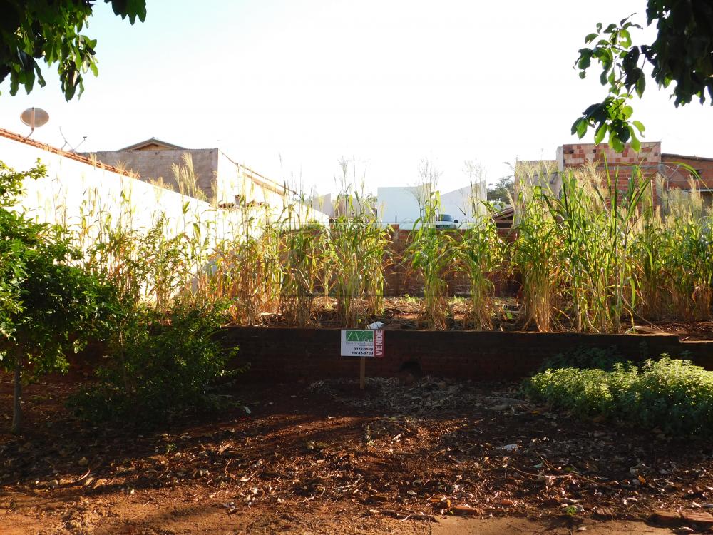 Comprar Terrenos / Lote em Santa Cruz do Rio Pardo R$ 100.000,00 - Foto 5