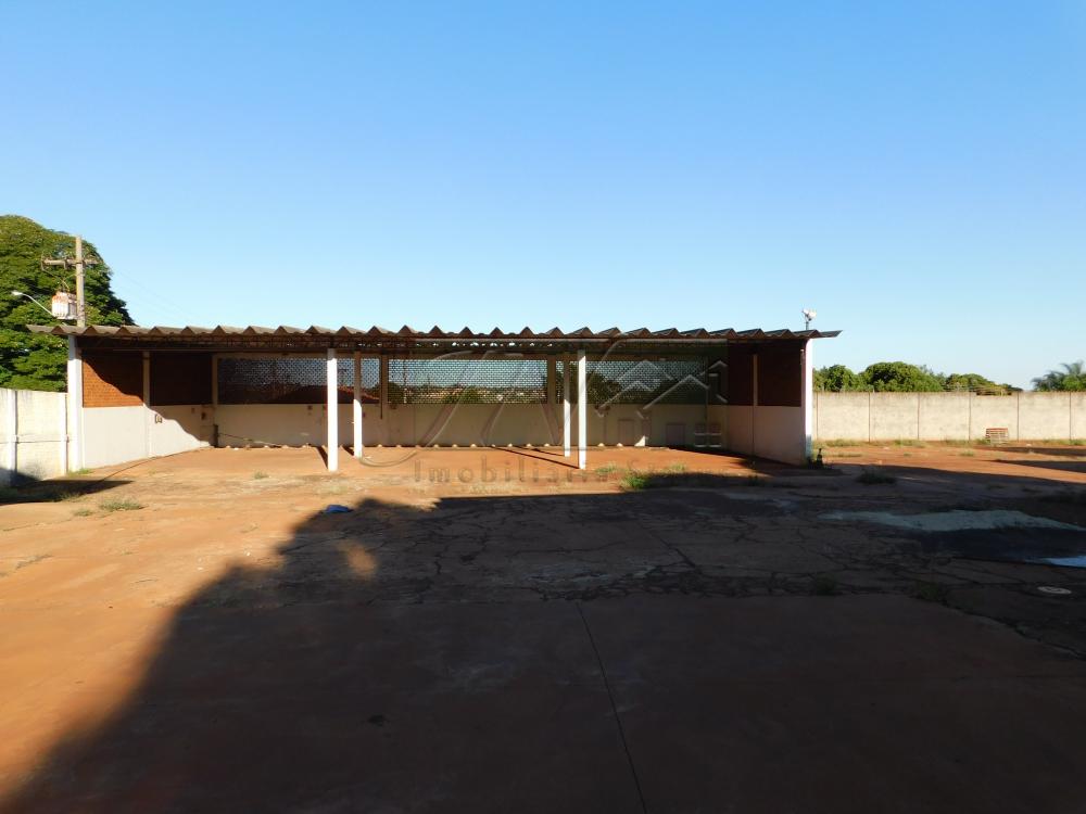 Alugar Comerciais / Galpão em Santa Cruz do Rio Pardo R$ 6.500,00 - Foto 8