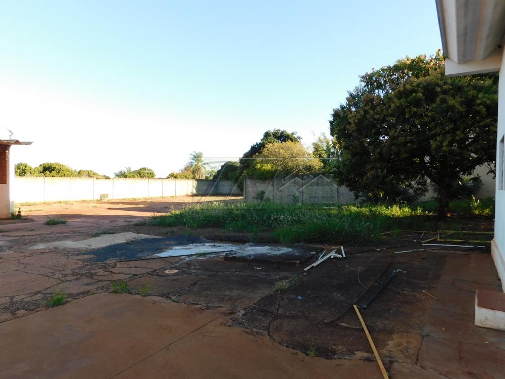 Alugar Comerciais / Galpão em Santa Cruz do Rio Pardo R$ 6.500,00 - Foto 9