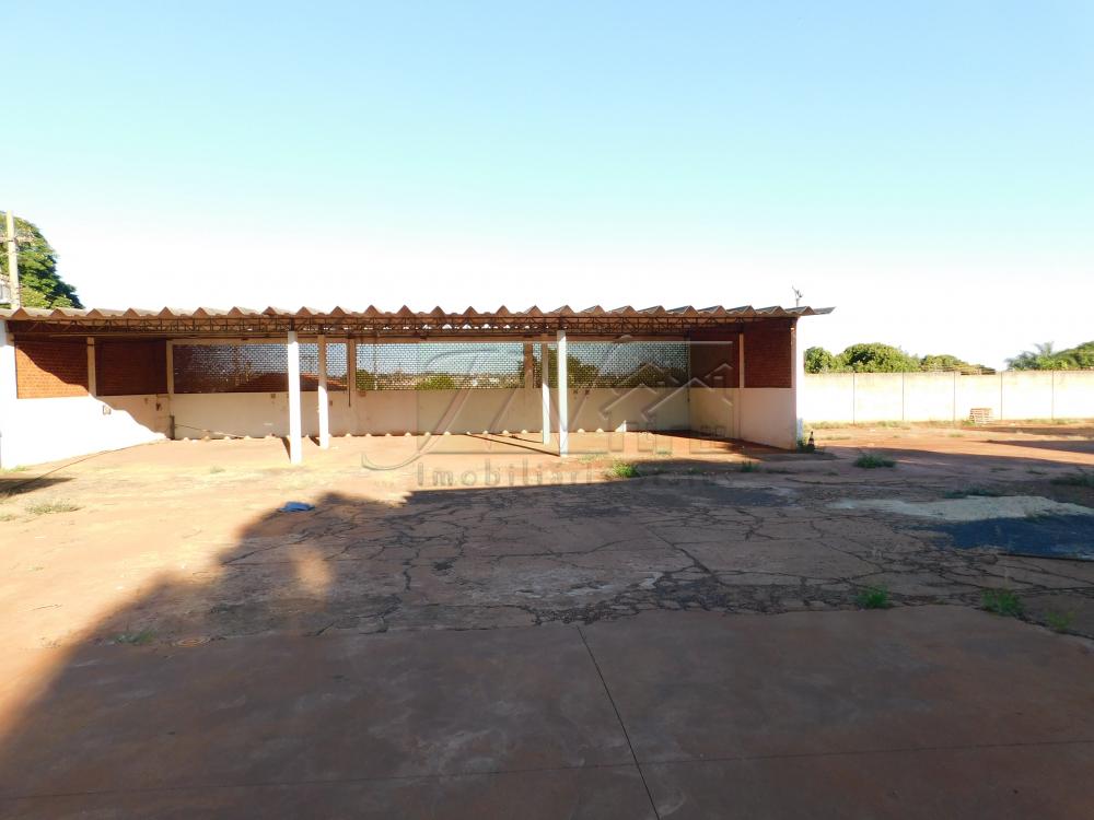 Alugar Comerciais / Galpão em Santa Cruz do Rio Pardo R$ 6.500,00 - Foto 10