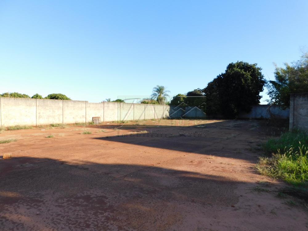 Alugar Comerciais / Galpão em Santa Cruz do Rio Pardo R$ 6.500,00 - Foto 13