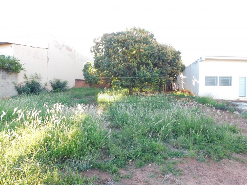 Alugar Comerciais / Galpão em Santa Cruz do Rio Pardo R$ 6.500,00 - Foto 14