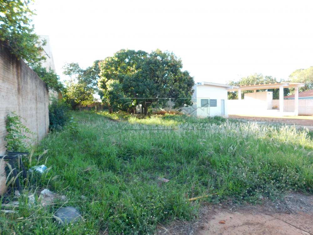 Alugar Comerciais / Galpão em Santa Cruz do Rio Pardo R$ 6.500,00 - Foto 15