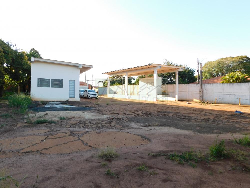 Alugar Comerciais / Galpão em Santa Cruz do Rio Pardo R$ 6.500,00 - Foto 18