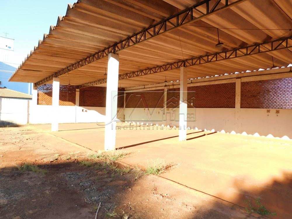 Alugar Comerciais / Galpão em Santa Cruz do Rio Pardo R$ 6.500,00 - Foto 19